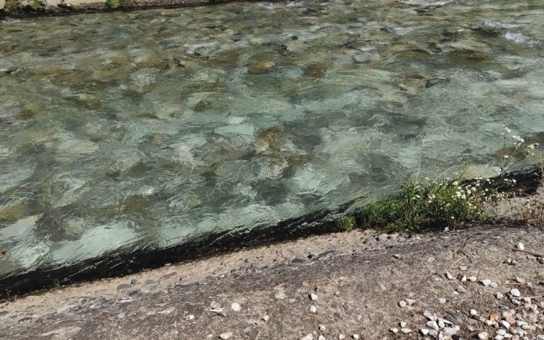 Северна Македонија: 1.500 луѓе отруени во Гостивар
