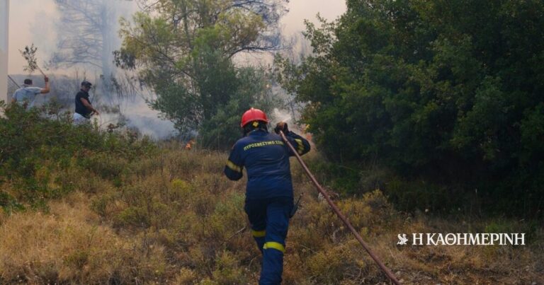 Пожар во близина на границата со Северна Македонија - 112 сигнализираше