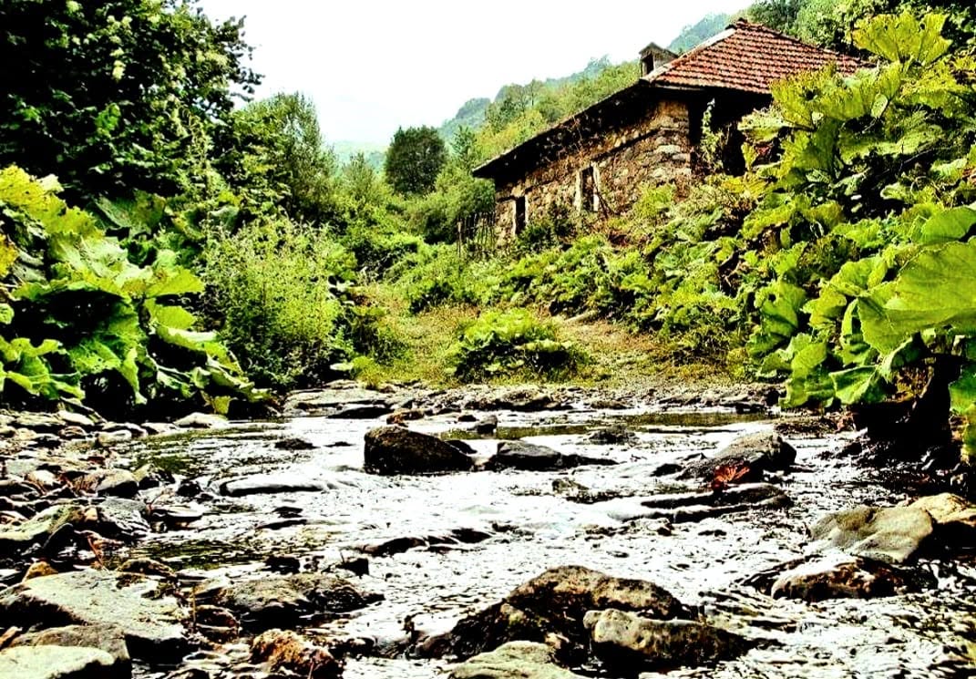Насловна слика на Rural Think
